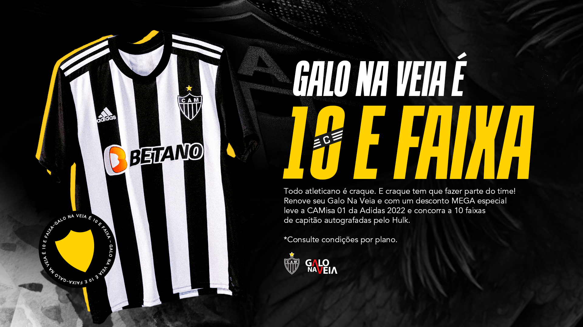 Galo Na Veia